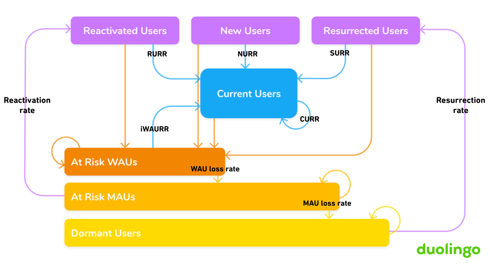 Duolingo's growth model state machine showing user states and transitions